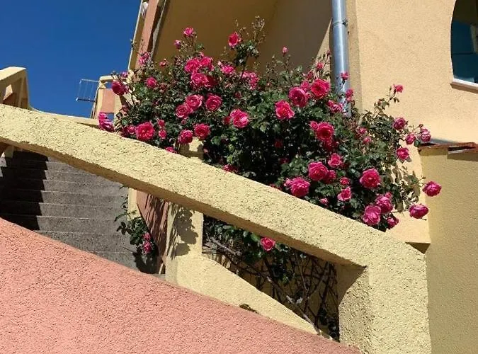 Garden View * Сали